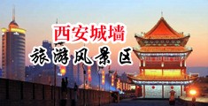 中国女明星无套黑人大鸡巴操中国陕西-西安城墙旅游风景区